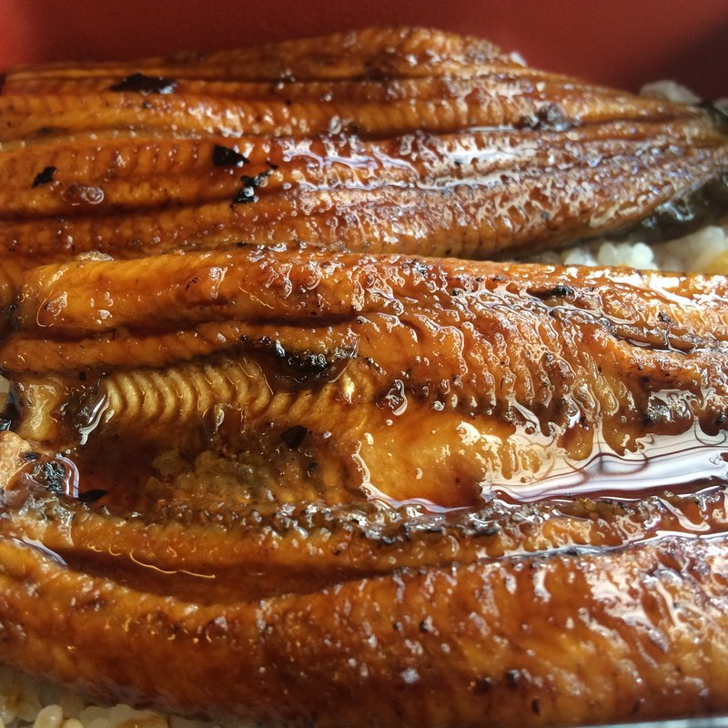 うな重(大野屋旅館 )