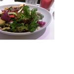 サラダ　ランチ　プルミエコースの前菜