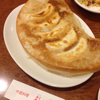 焼餃子(彩鳳)
