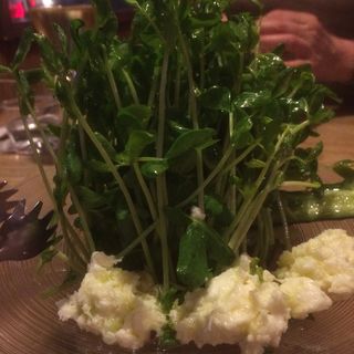 たたききゅうりと豆苗とモッツァレラチーズのサラダ(ともすけ)