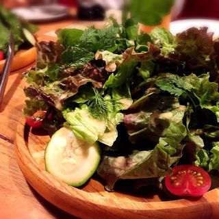 大盛り！グリーンサラダ(肉バル・ジビエ　アンタガタドコサ 恵比寿店)