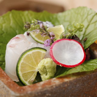 真鯛のお造り(Sushi Ginza SHIBAHAMA 銀座 芝濱｜割烹・日本料理)