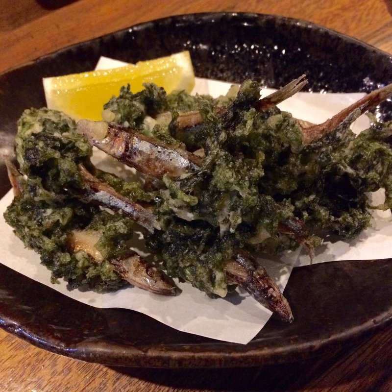 きびなごあおさのり揚げ(くろ酒場 薩摩)