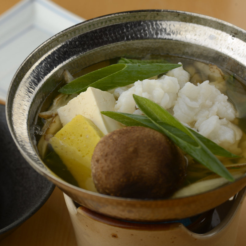 鱧の湯引き(日本料理綾AYA)