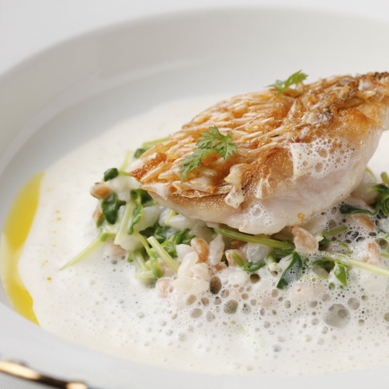 さわらのグリル(モダンフレンチ メザニーン／Mezzanine 日本橋)