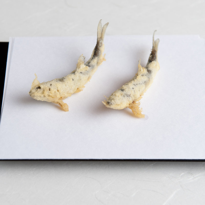 稚鮎の天麩羅(天政 （てんまさ）)