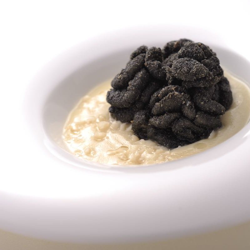 黒トリュフ　ソース(イル・ギオットーネ 京都店 （IL GHIOTTONE）)