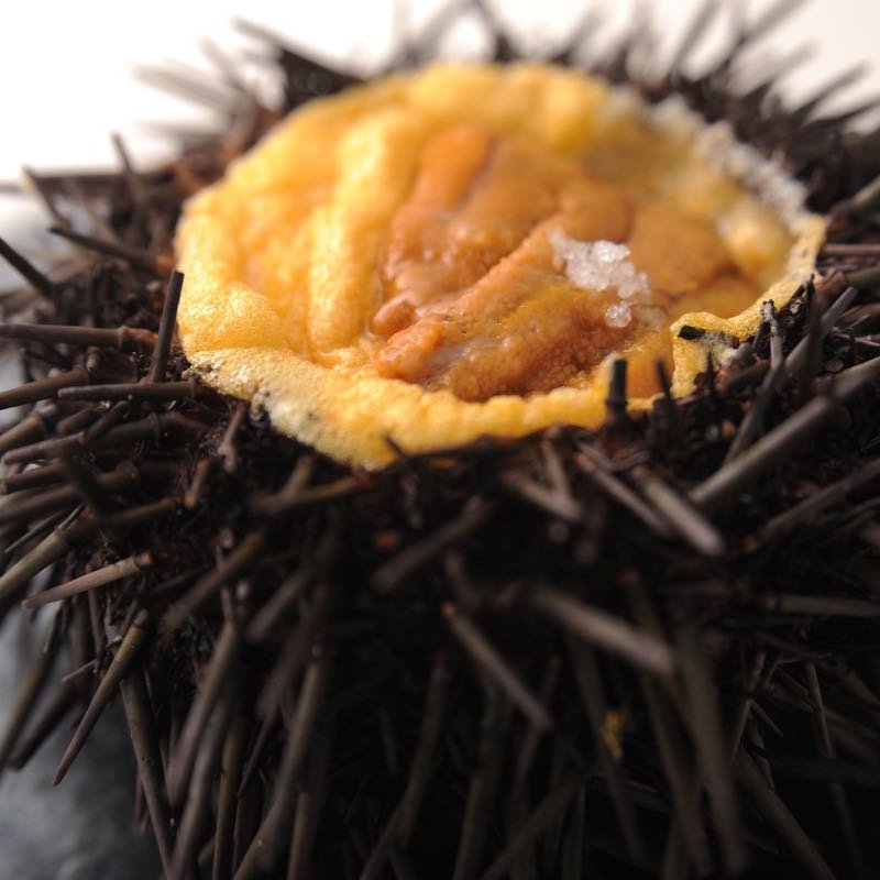 生うに(イル・ギオットーネ 京都店 （IL GHIOTTONE）)