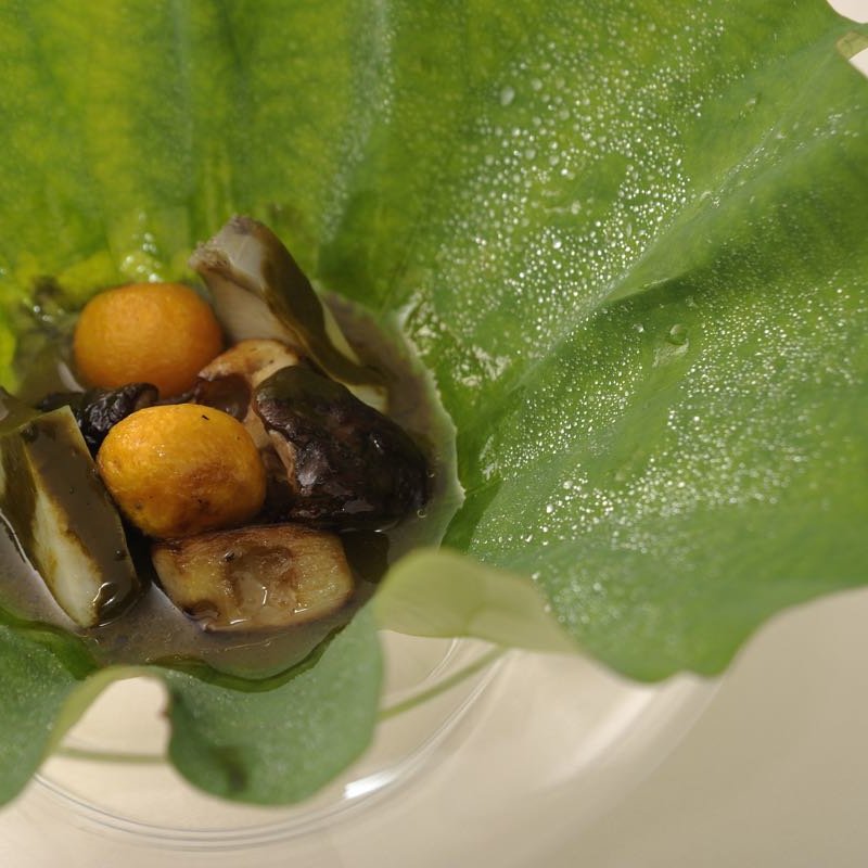 あわびのソテー(イル・ギオットーネ 京都店 （IL GHIOTTONE）)