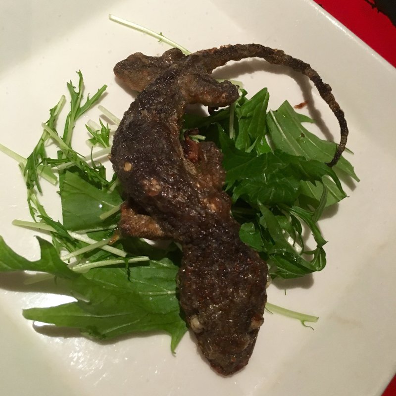 イモリの一本揚げ(珍獣屋)