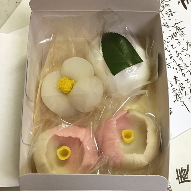 外郎 冬木の花 ，羽二重餅 椿餅 ，薯蕷練切り 姫椿 (一幸庵(いっこうあん))