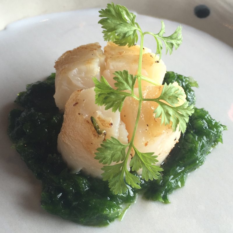 鉄板焼ステーキ懐石(瀬里奈 ステーキドーム 馬車道店)