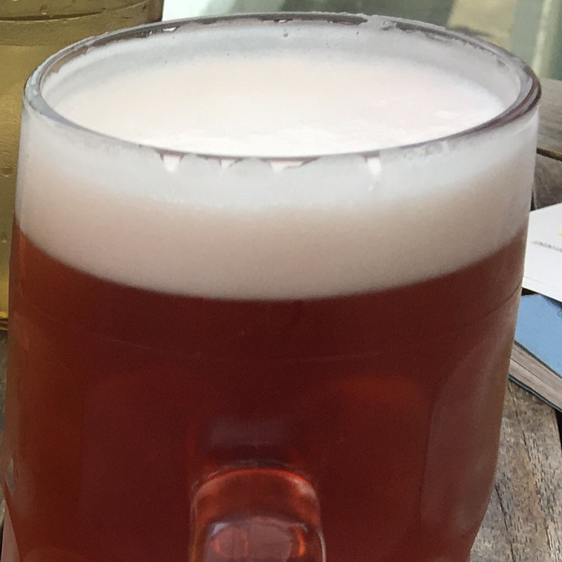 美肌ビア<<ﾊｲﾋﾞｽｶｽ>>(ソラ ZENON （【旧店名】ゼノンバー）)