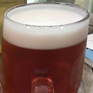 美肌ビア<<ﾊｲﾋﾞｽｶｽ>>(ソラ ZENON （【旧店名】ゼノンバー）)