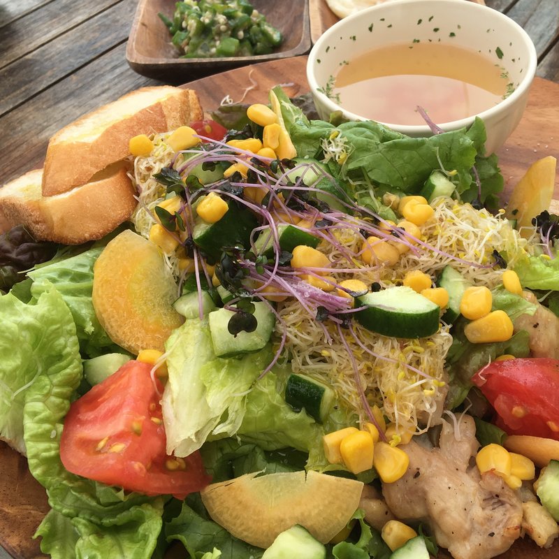 グリルチキンとアルファルファのフルーツビネガーサラダ(ソラ ZENON （【旧店名】ゼノンバー）)