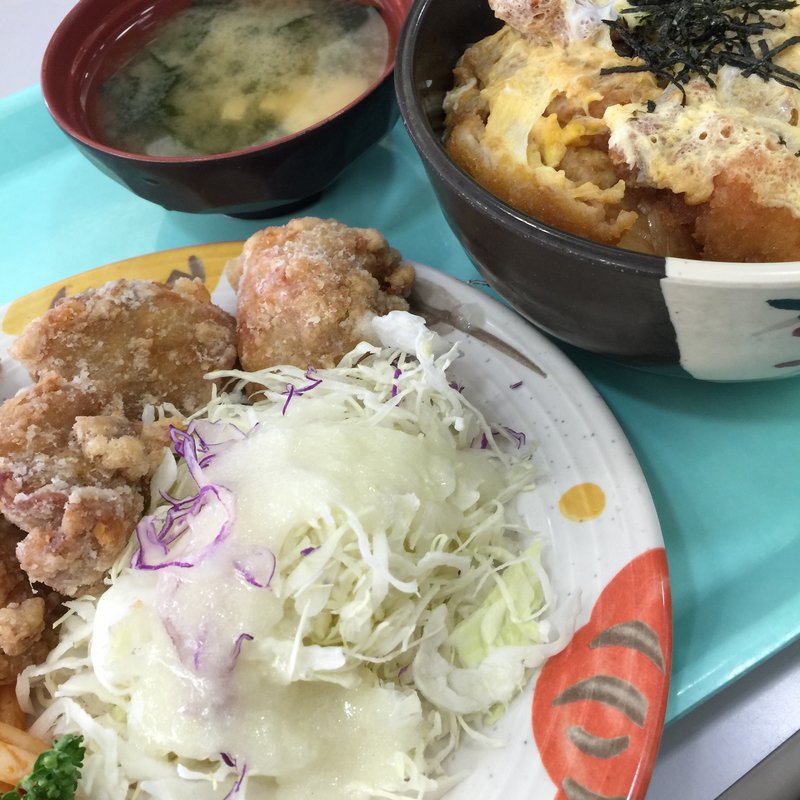 (国際武道大学)