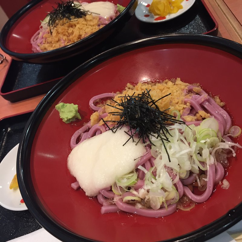 紅芋うどん(めん処  たぬき)
