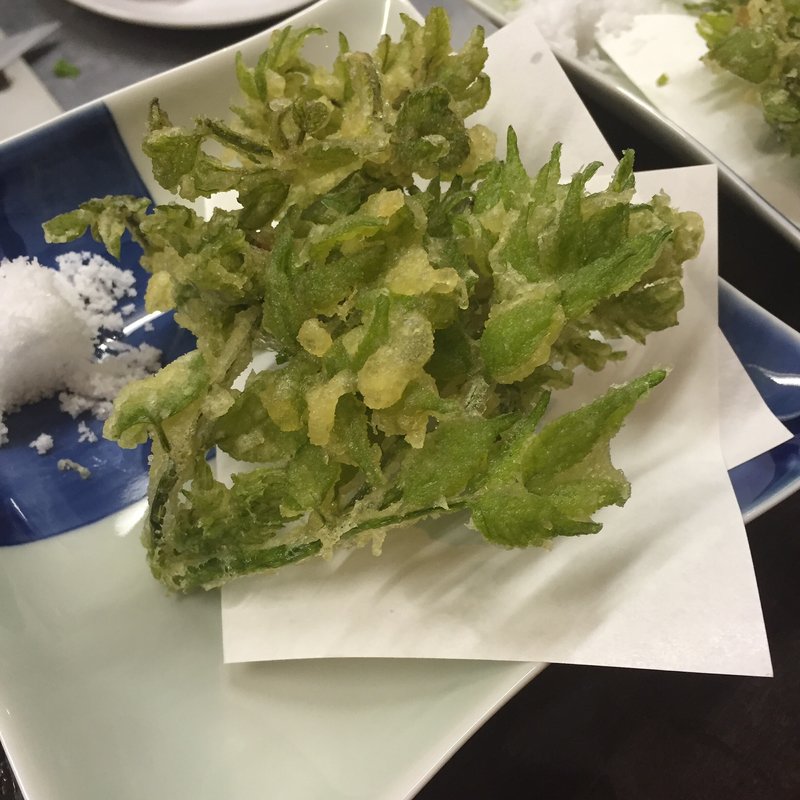 たらの芽の天ぷら(くつろぎの美味家Uo（ウオ）)