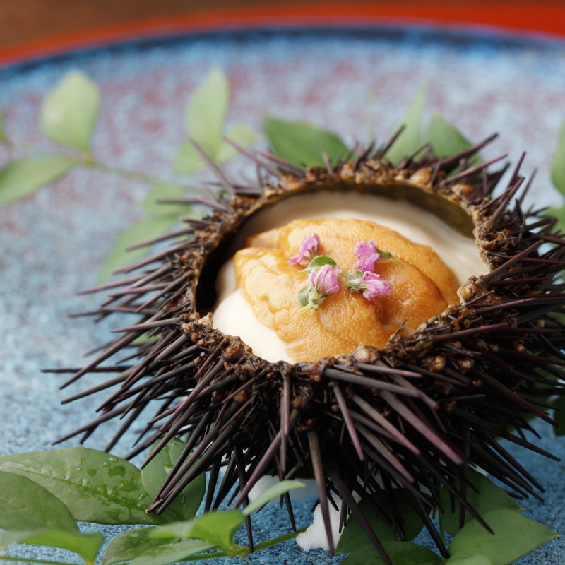 雲丹プリン(えびす あふそや)