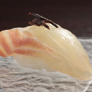 カンパチの握り(Sushi Dining Kugi )