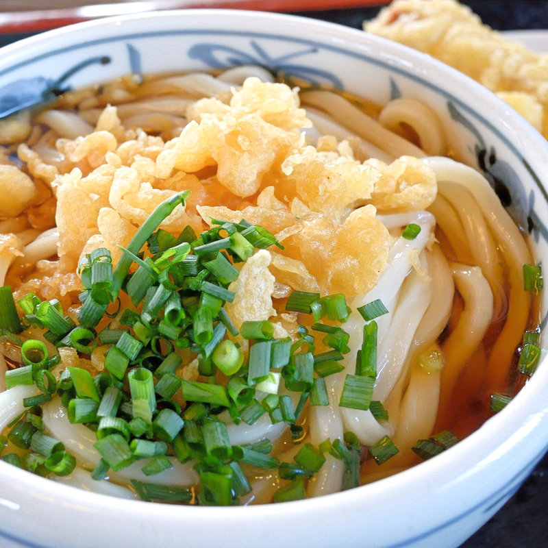 ぶっかけ冷(ふるかわうどん )