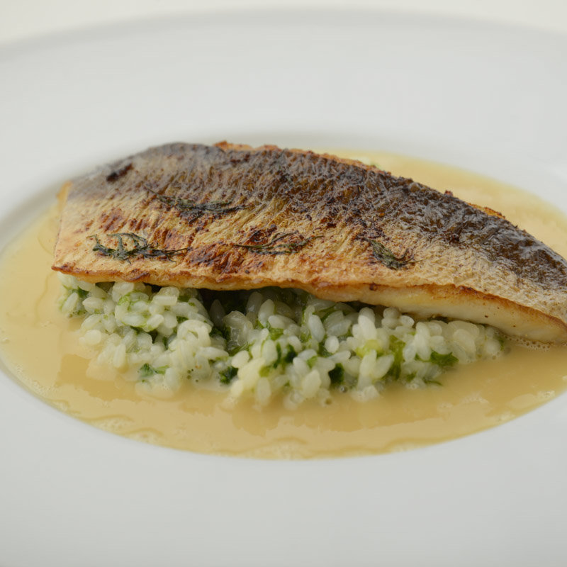 鮮魚のリゾット(ボンシュマン )