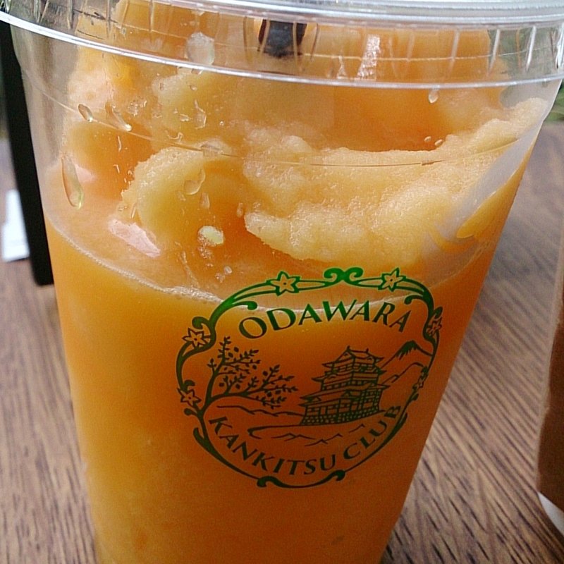 フルーツスクイーズ(小田原みかん)(Cafe 小田原柑橘倶楽部 )