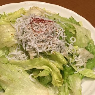 じゃことレタスのサラダ(鶏餃子専門店 赤坂よ志多)