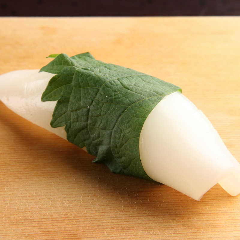イカの握り(すし処 廣 （すしどころひろ）)