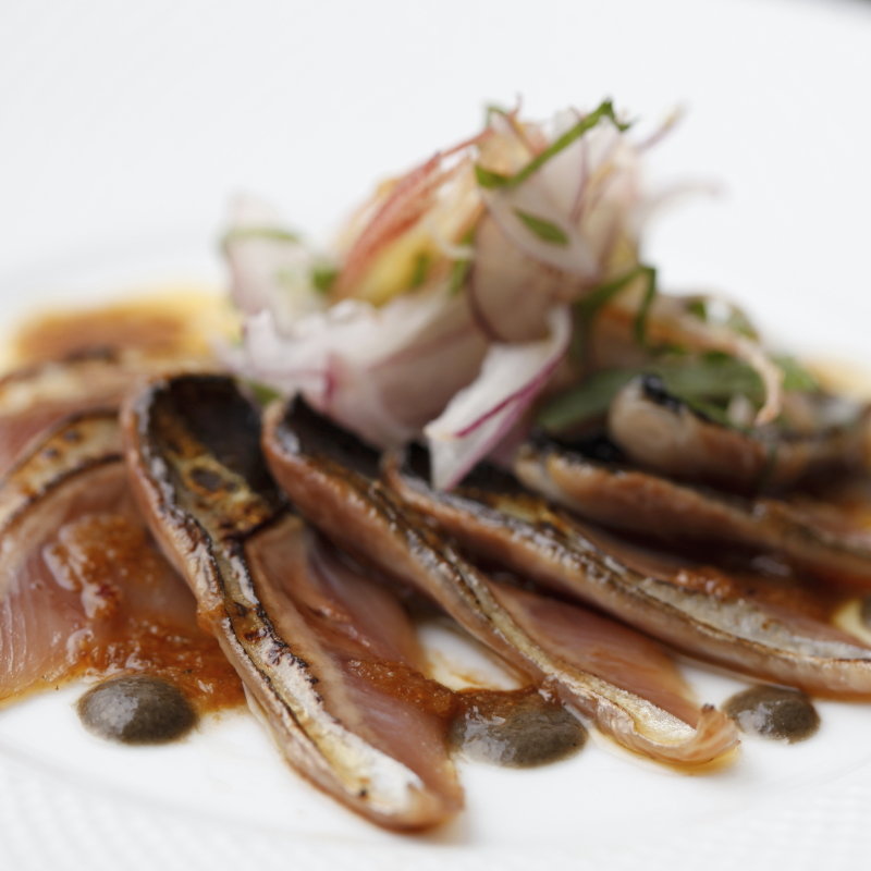 サバの炙りカルパッチョ(濱下 （ハマシタ）)