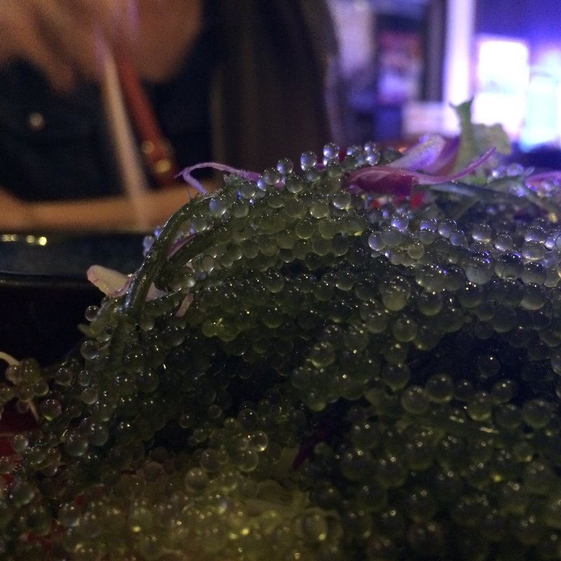 海ぶどう(美ら海太郎)