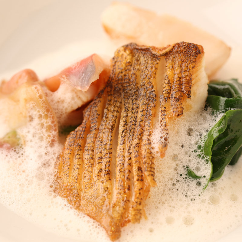 鰆のグリル(レストラン ミッシェルナカジマ)