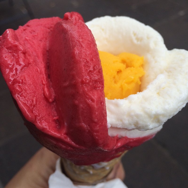 Regular Cone(Amorino)