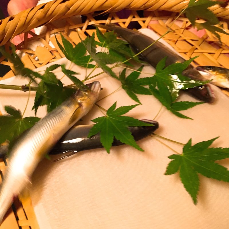 活け鮎(祇園 丸山 （ぎおん まるやま）)