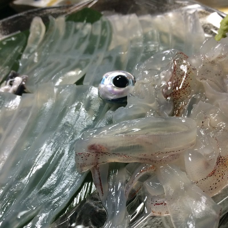 呼子ケンサキイカ(江戸前 幸寿司)