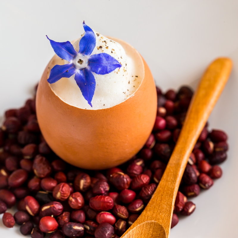 卵のふんわりプリン(ル ヴィーヴル （Revivre）)