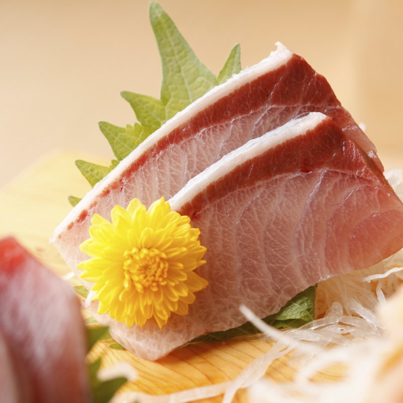 カンパチのお造り(すし游 （あさくさ・すしゆう）)