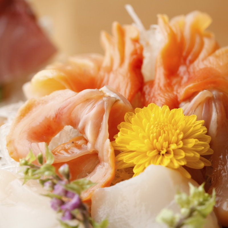 巻貝のお造り(すし游 （あさくさ・すしゆう）)