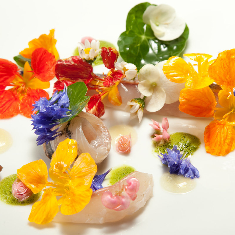 カンパチのカルパッチョ(エタンセール カワモト)