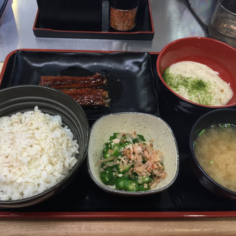 麦とろ鰻皿御膳