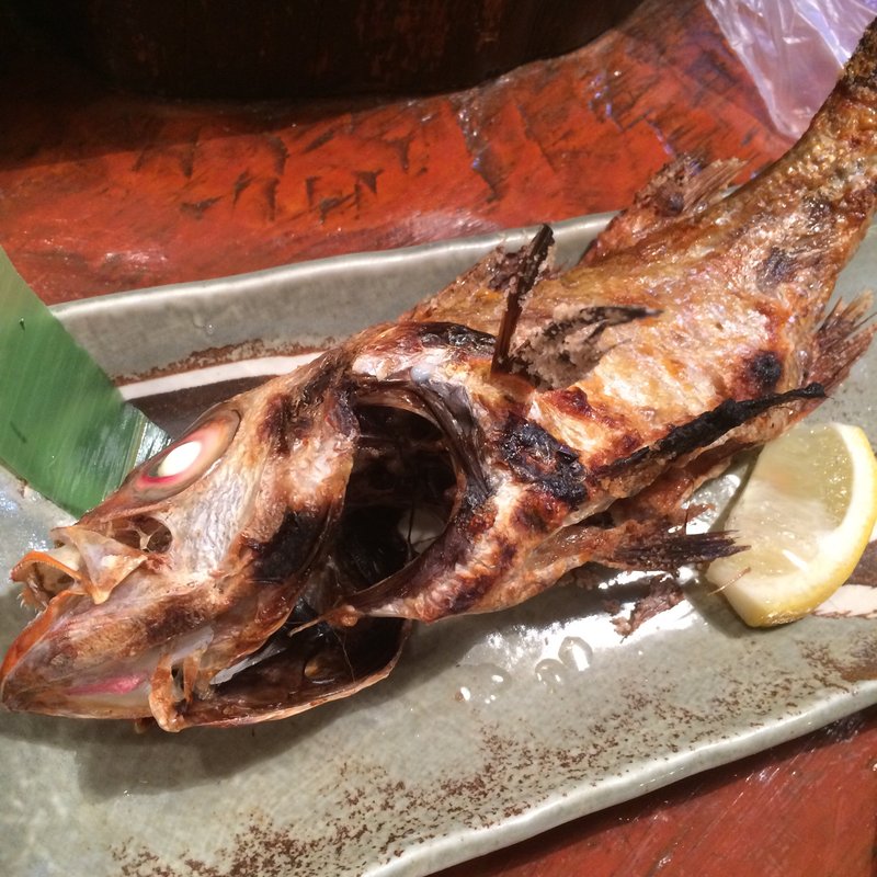 のどぐろ(炉端居酒屋 たぬき新橋本店)