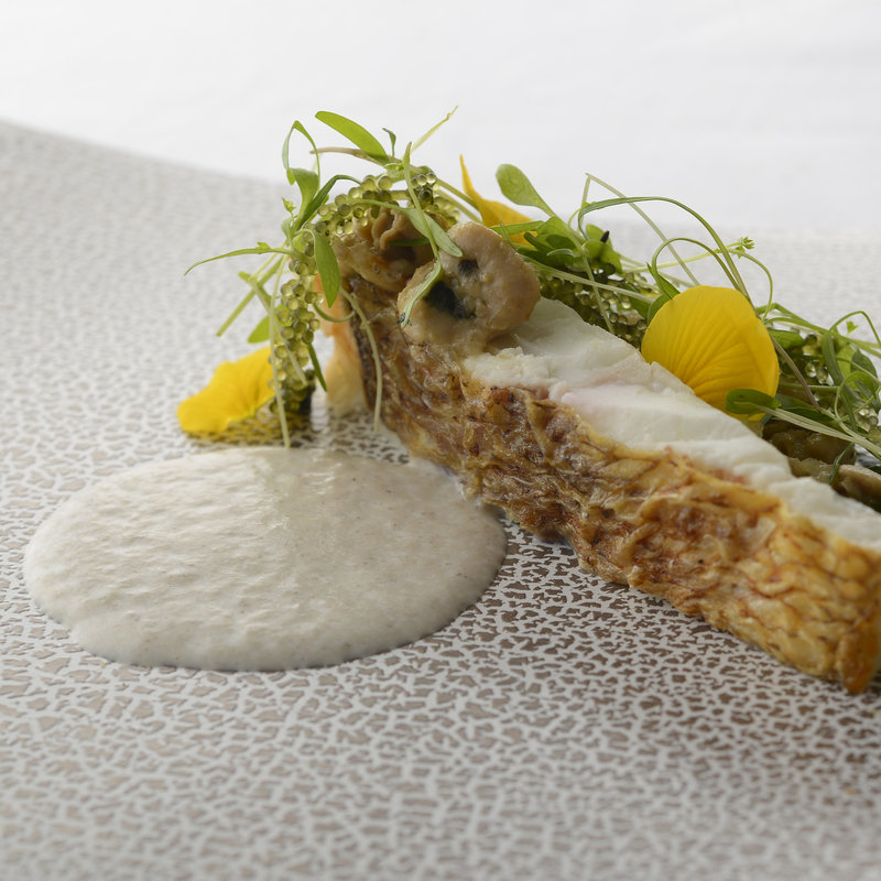 白身魚のポワレ　ポルチーニソース(レストラン セビアン （restaurant c'est bien）)