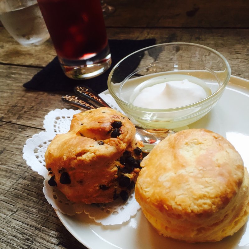 スコーン(Ridi （リディ）)