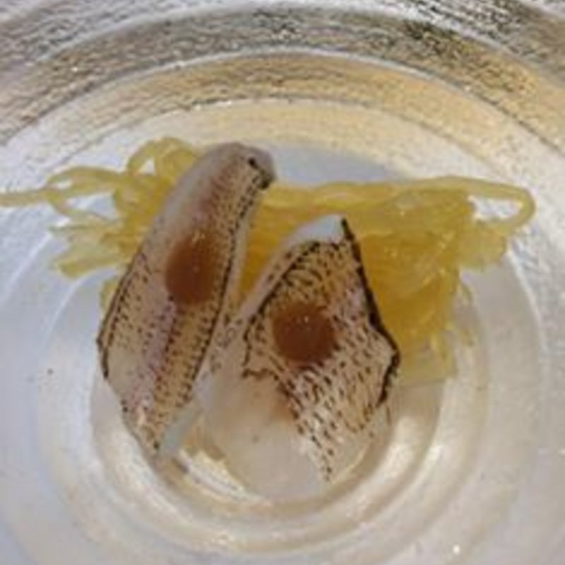 鯛の炙り(かふく)