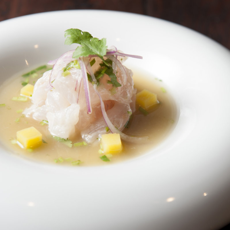 ヒラメのクリーム(TORO （トロ）)