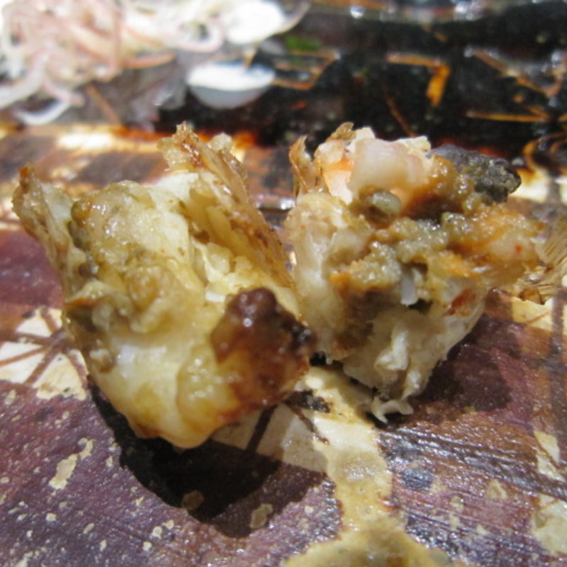 ふぐの塩焼き(凛)