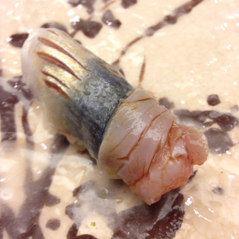 出水産〆鯵(わたなべ)