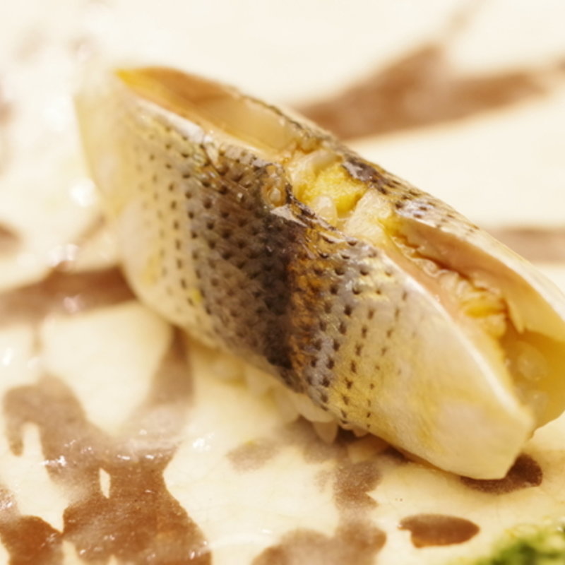 小鰭 (わたなべ)