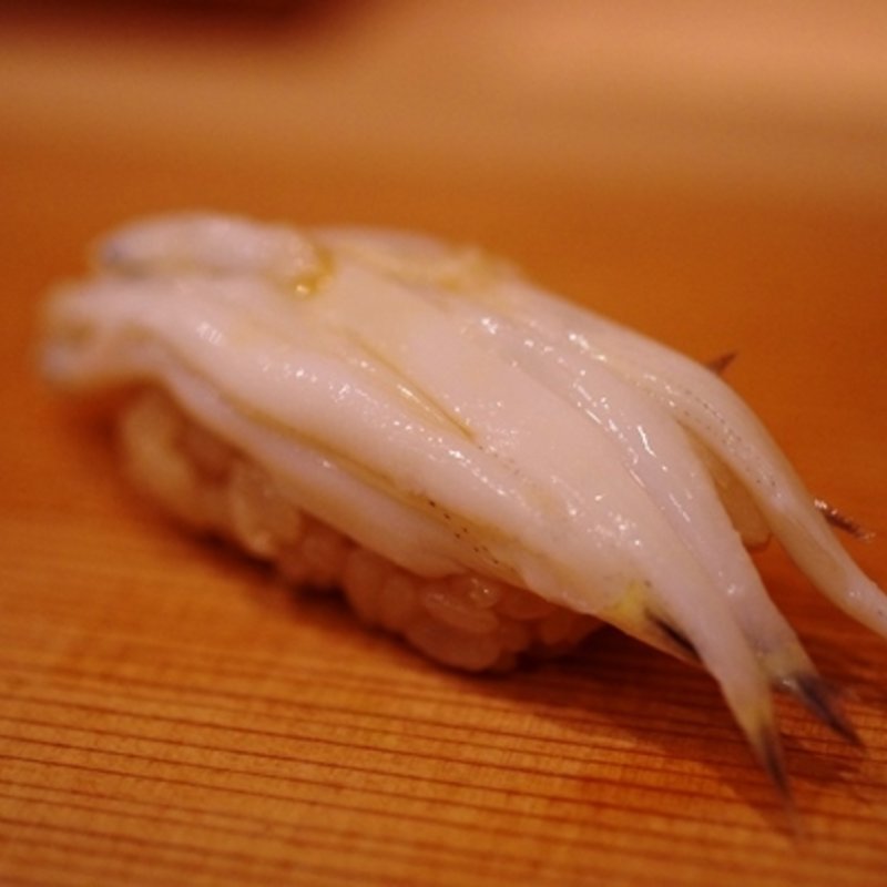 白魚の握り(鮨 太一)