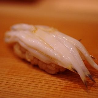 白魚の握り(鮨 太一)